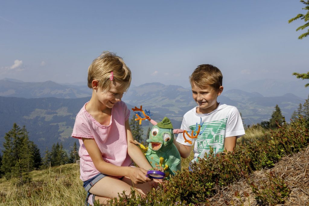 WIDI Motto 2019 — Wendelin Wasserfloh